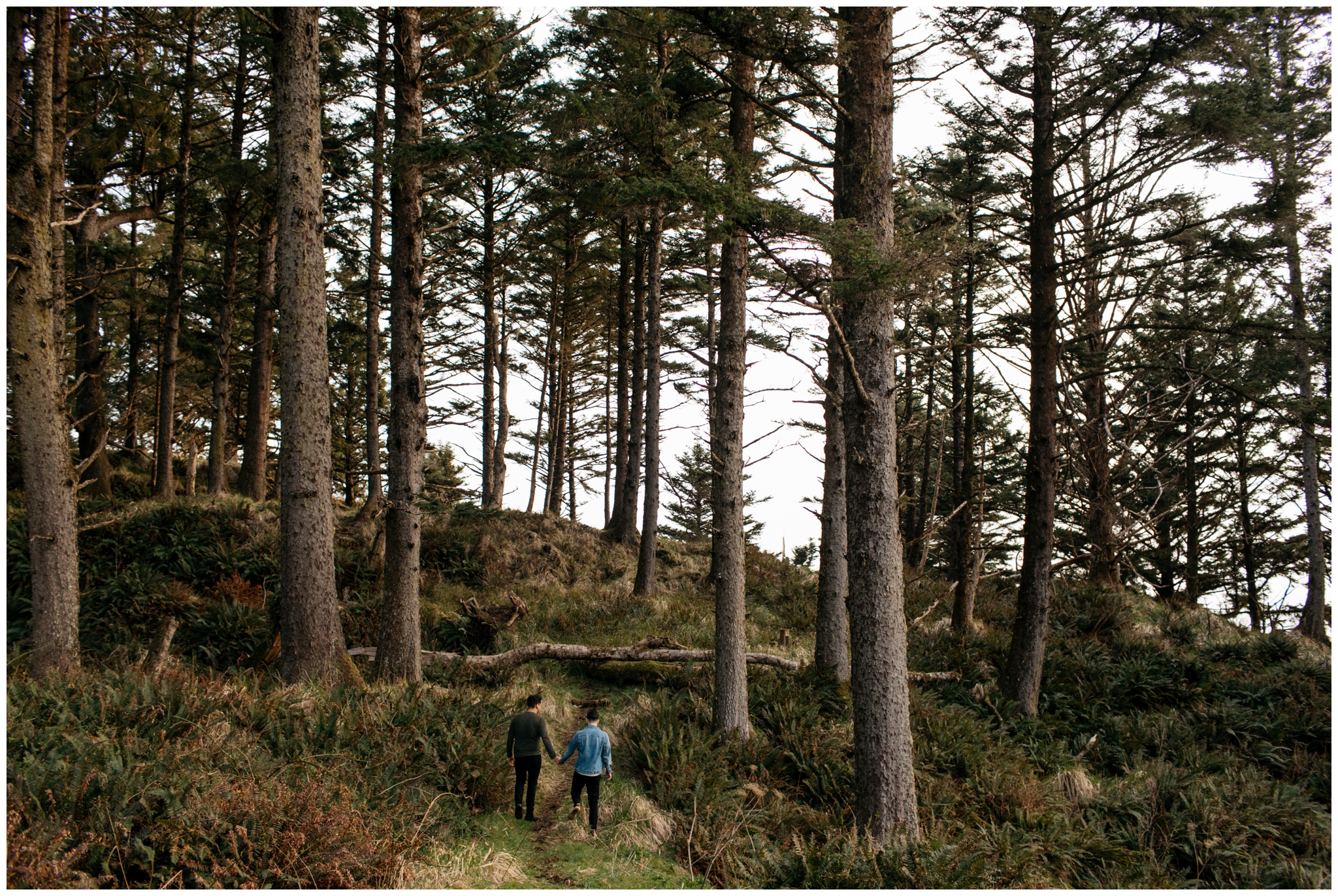 Cannon Beach Engagement With Brittney Hyatt Photography Seattle Wedding and Elopement Photographer. Same-sex couple hangs out in the woods at Ecola State Park after proposing to each other on a cliff edge looking over Cannon Beach.  