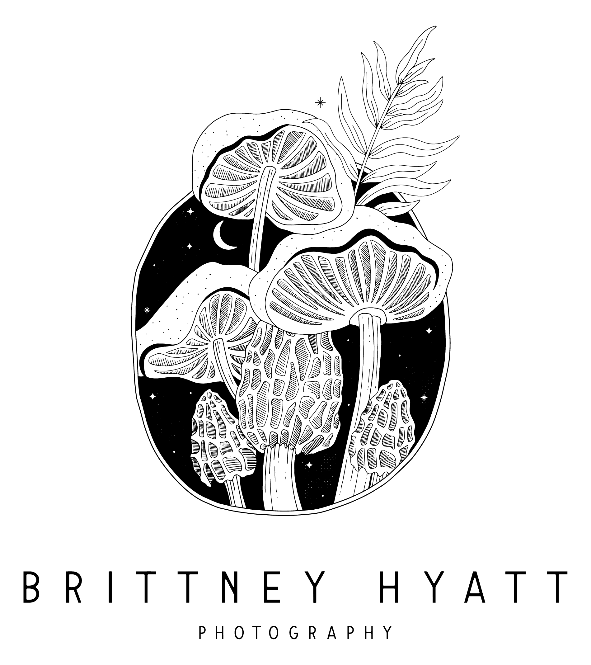 Slideshow II Investment Brittney Hyatt Slideshow II Investment Brittney Hyatt